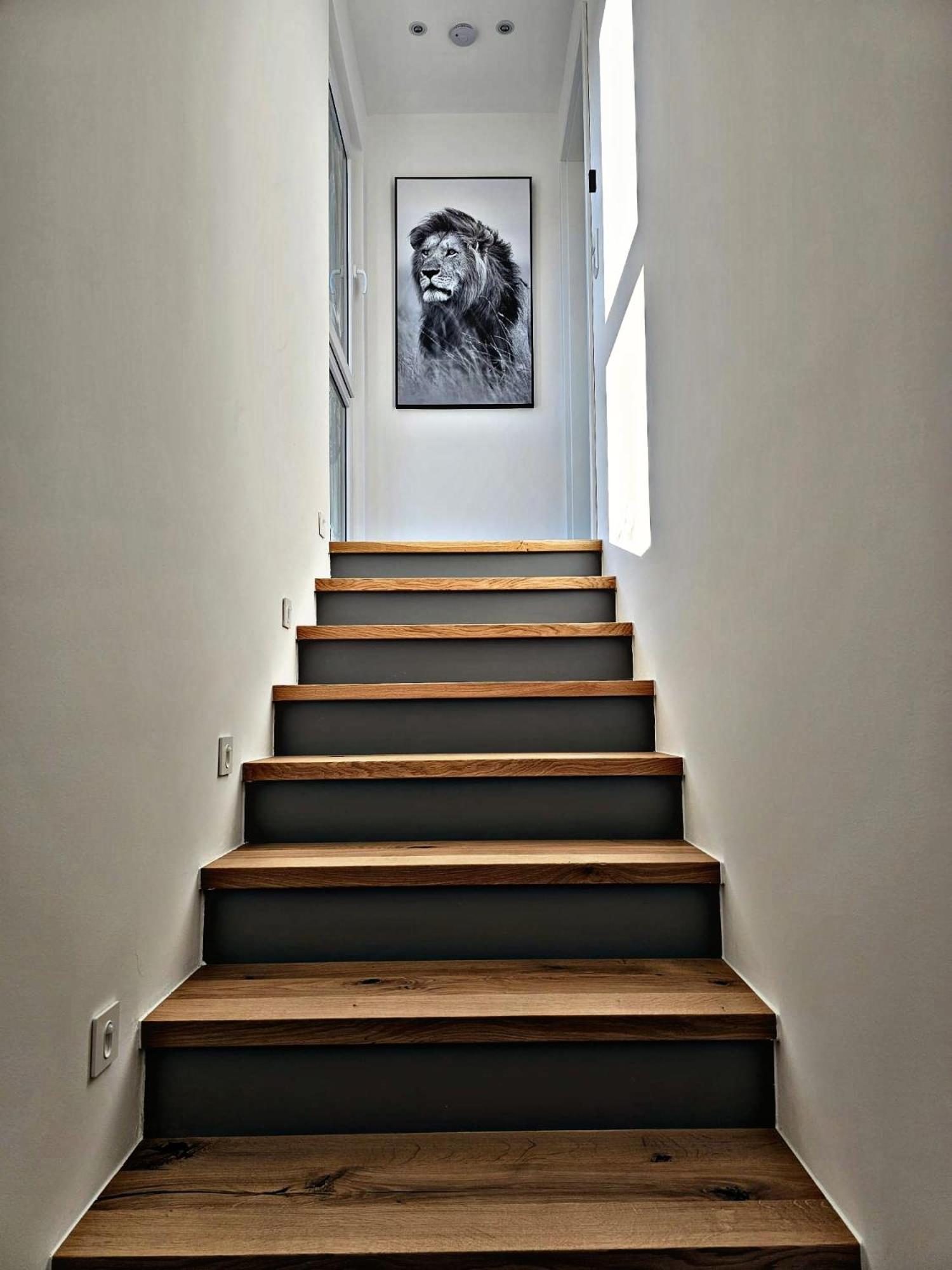 Lions Place Premium Apartments Comfort Optionaler Zugang Zum Spa- Bereich هايدنهايم ان دير بر المظهر الخارجي الصورة