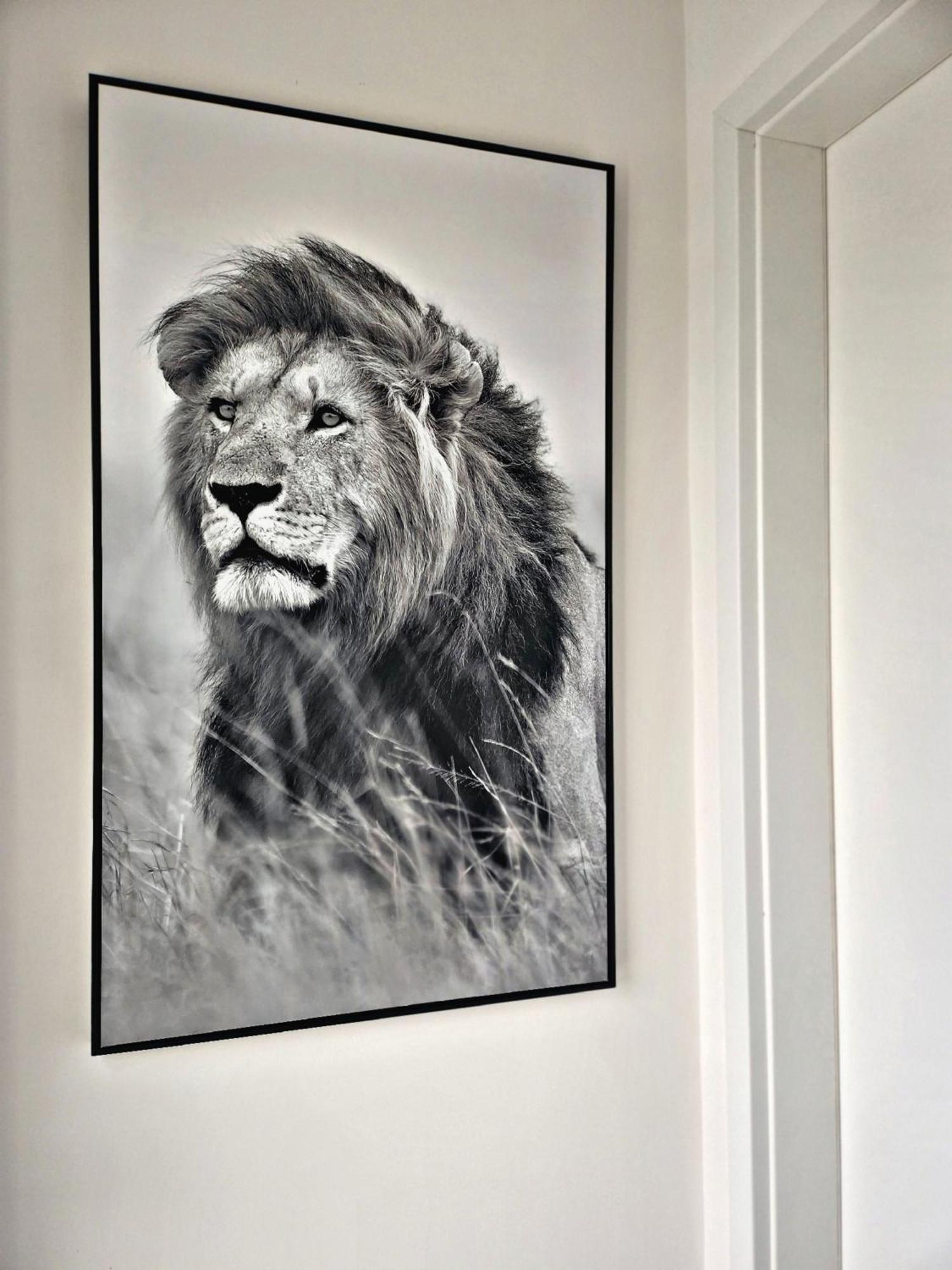 Lions Place Premium Apartments Comfort Optionaler Zugang Zum Spa- Bereich هايدنهايم ان دير بر المظهر الخارجي الصورة